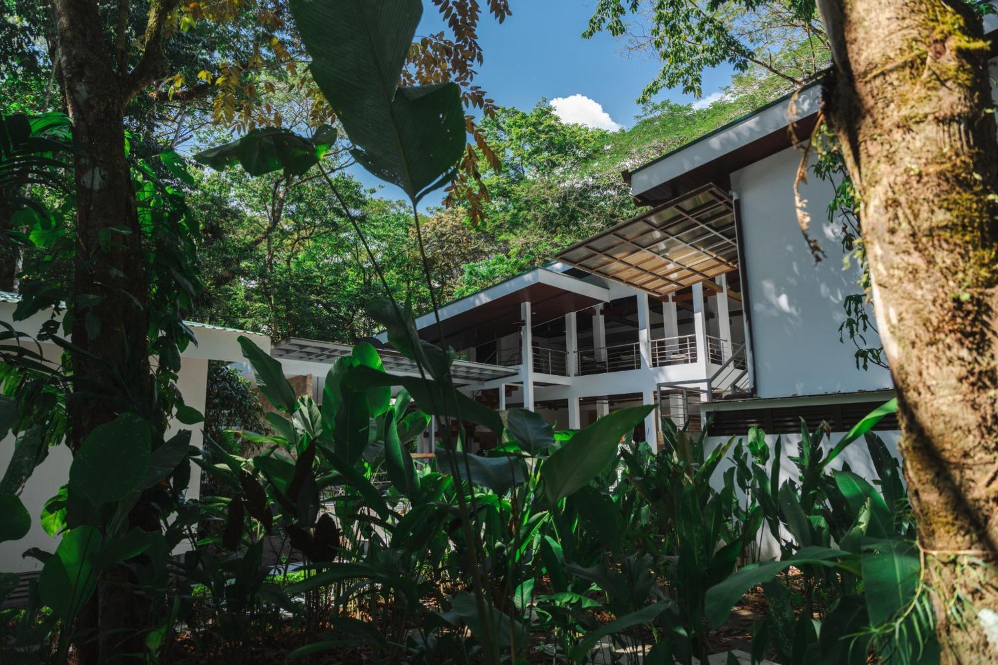 Nereus Hotel Puerto Jimenez Exterior photo
